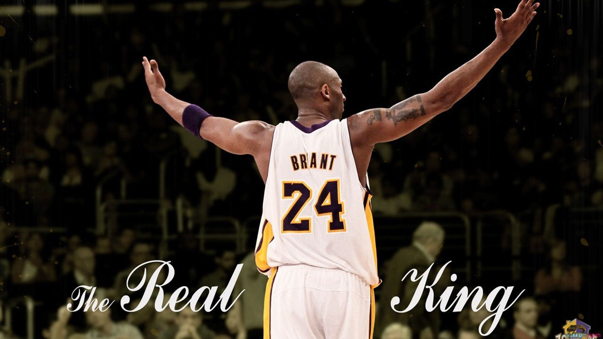 赛道新章，周冠宇领衔红牛二队力克索伯，书写团队新篇